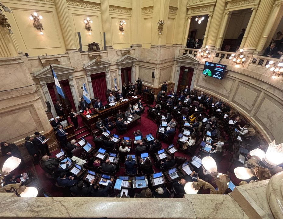 El Senado en espera: la reforma electoral frena su agenda